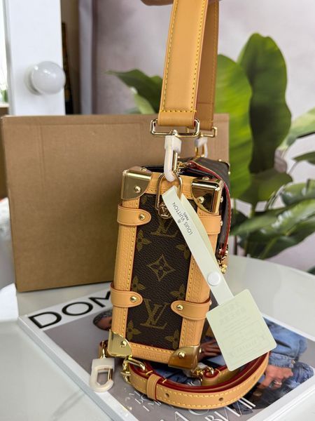 Жіноча сумка Louis Vuitton Petite Malle Souple Monogram Canvas Brown 895757 фото