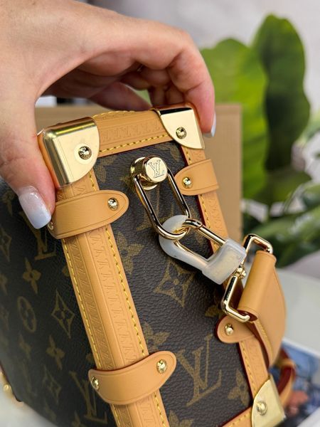 Жіноча сумка Louis Vuitton Petite Malle Souple Monogram Canvas Brown 895757 фото