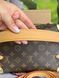 Жіноча сумка Louis Vuitton Petite Malle Souple Monogram Canvas Brown 895757 фото 4