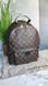 Жіночий шкіряний рюкзак Louis Vuitton Palm Springs Backpack Monogram Brown 998796 фото 1